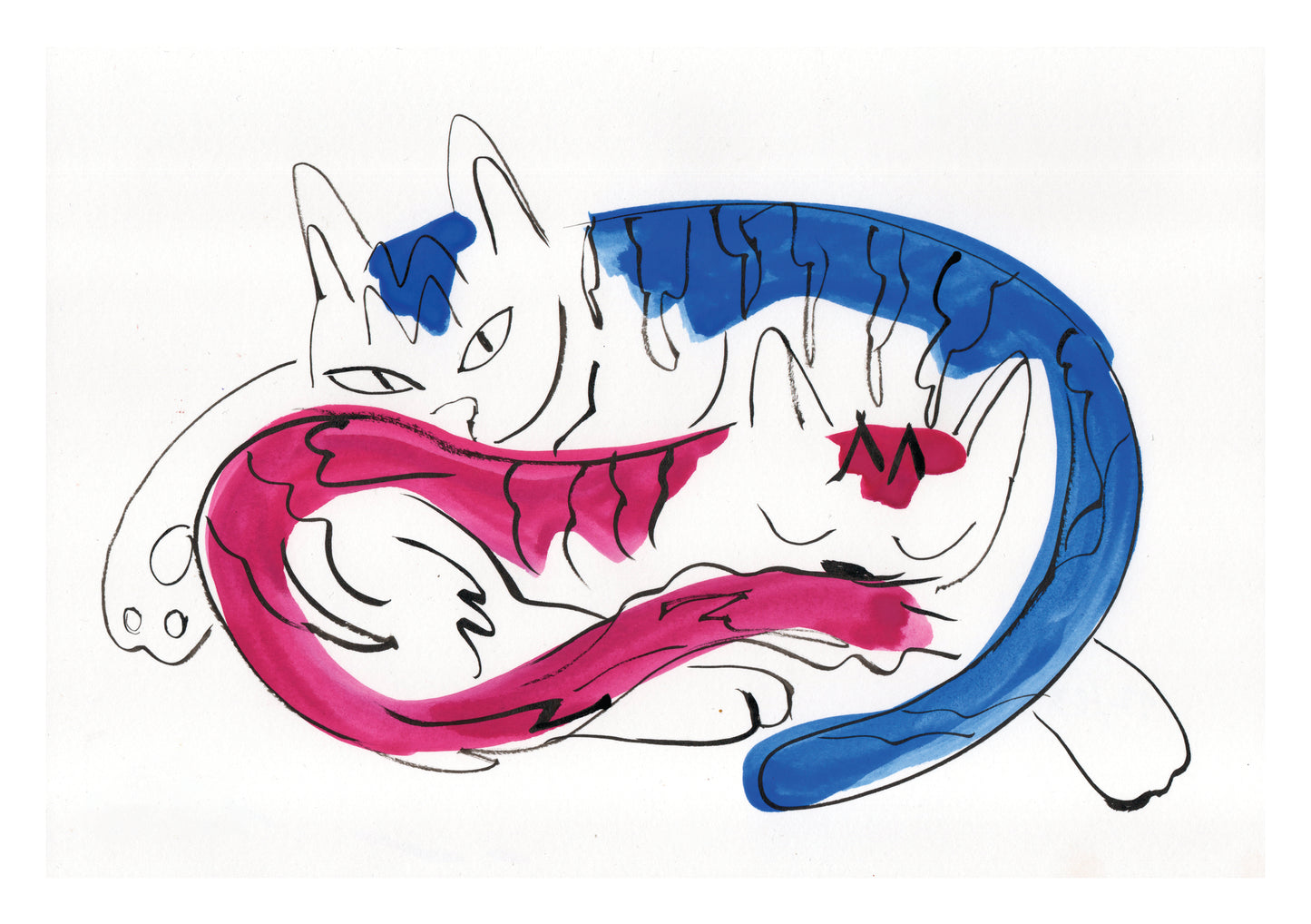 Sleeping cats print