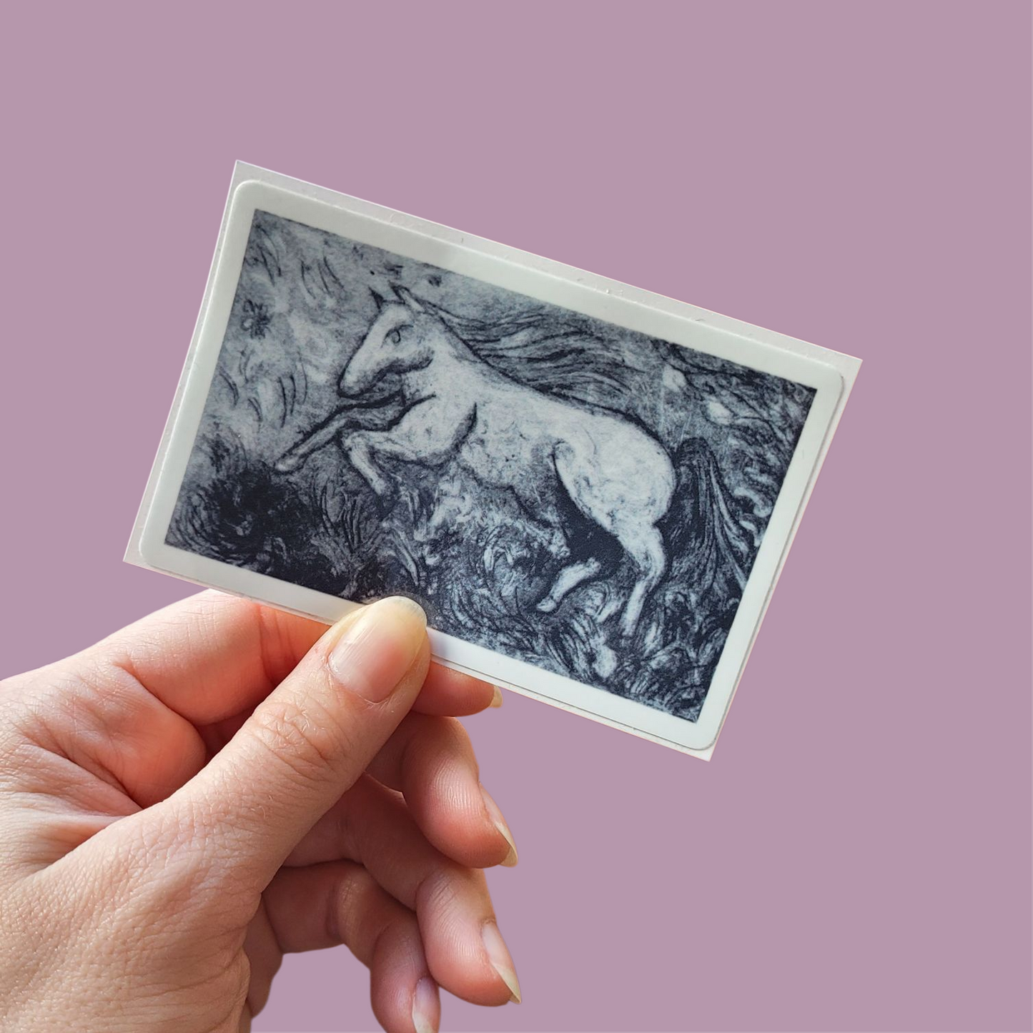Horse sticker
