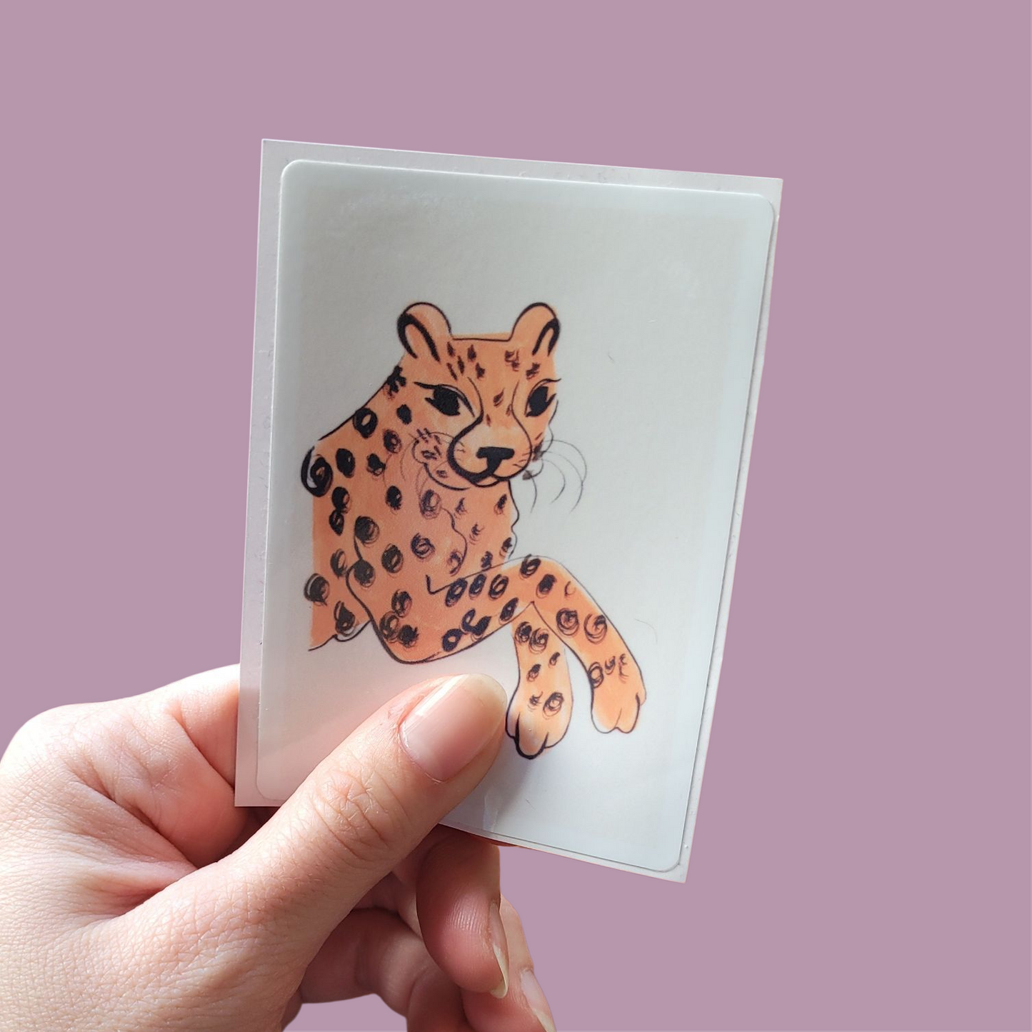 Cheetah sticker
