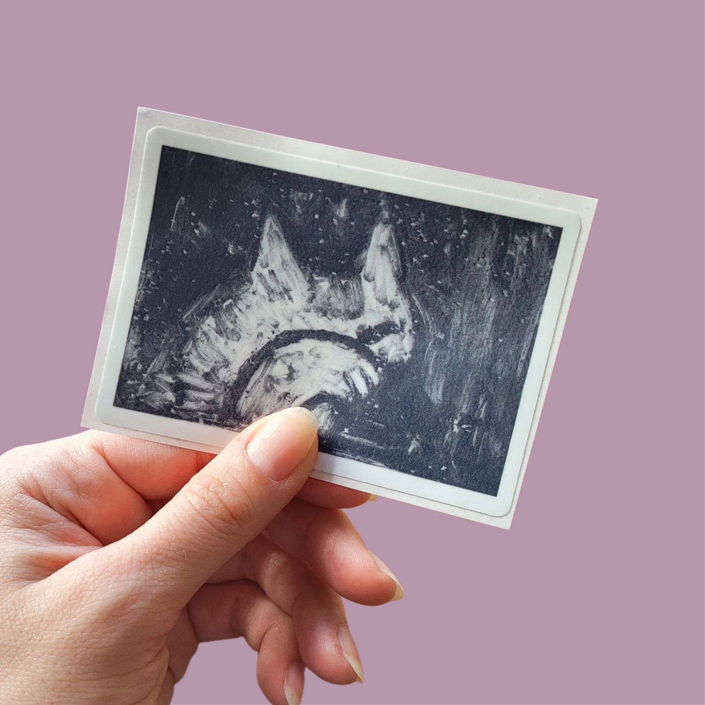 Grooming cat sticker
