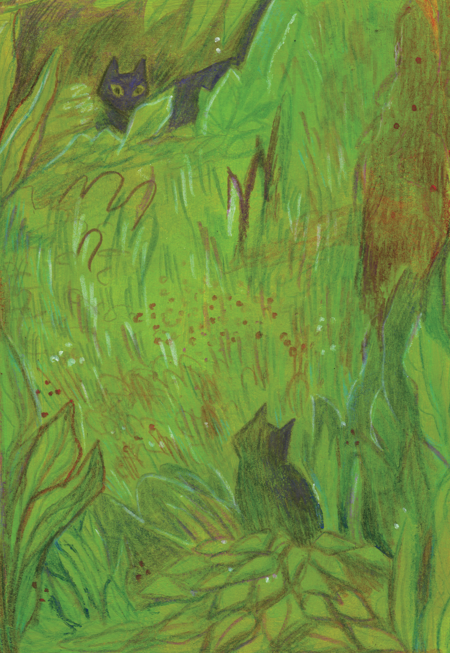 Lurking cats print