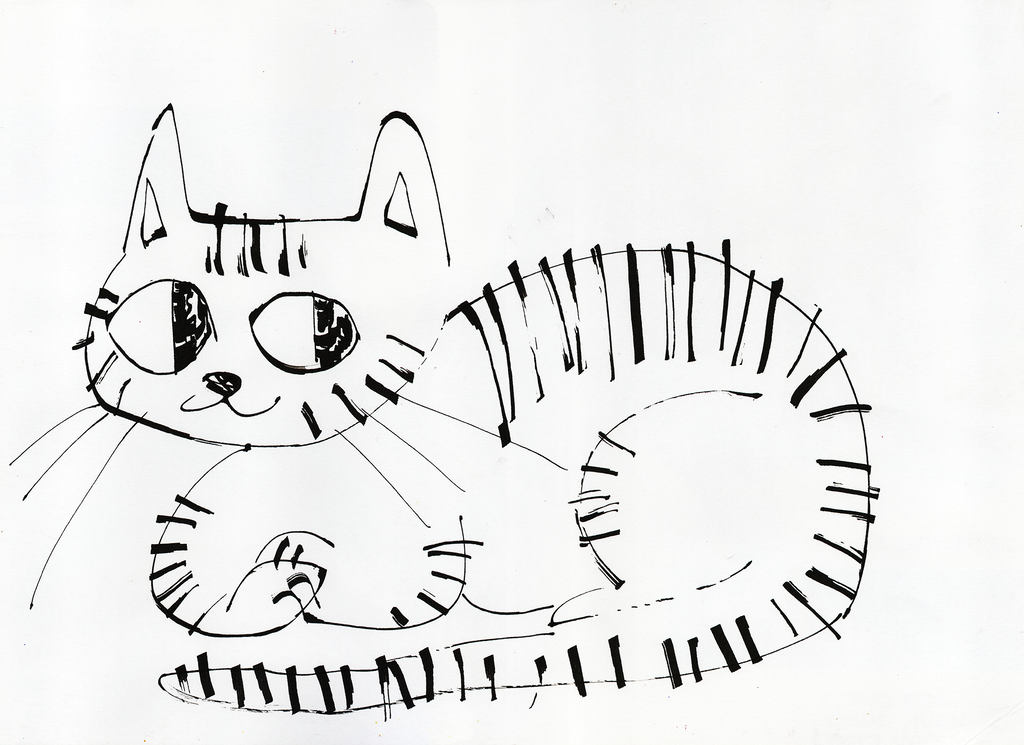 Lámina Gato rayado