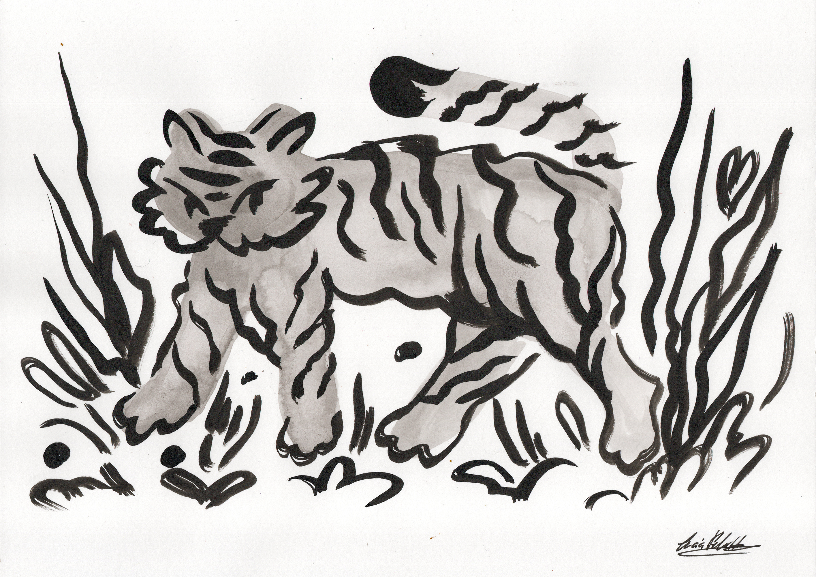 Dibujo original Tigre