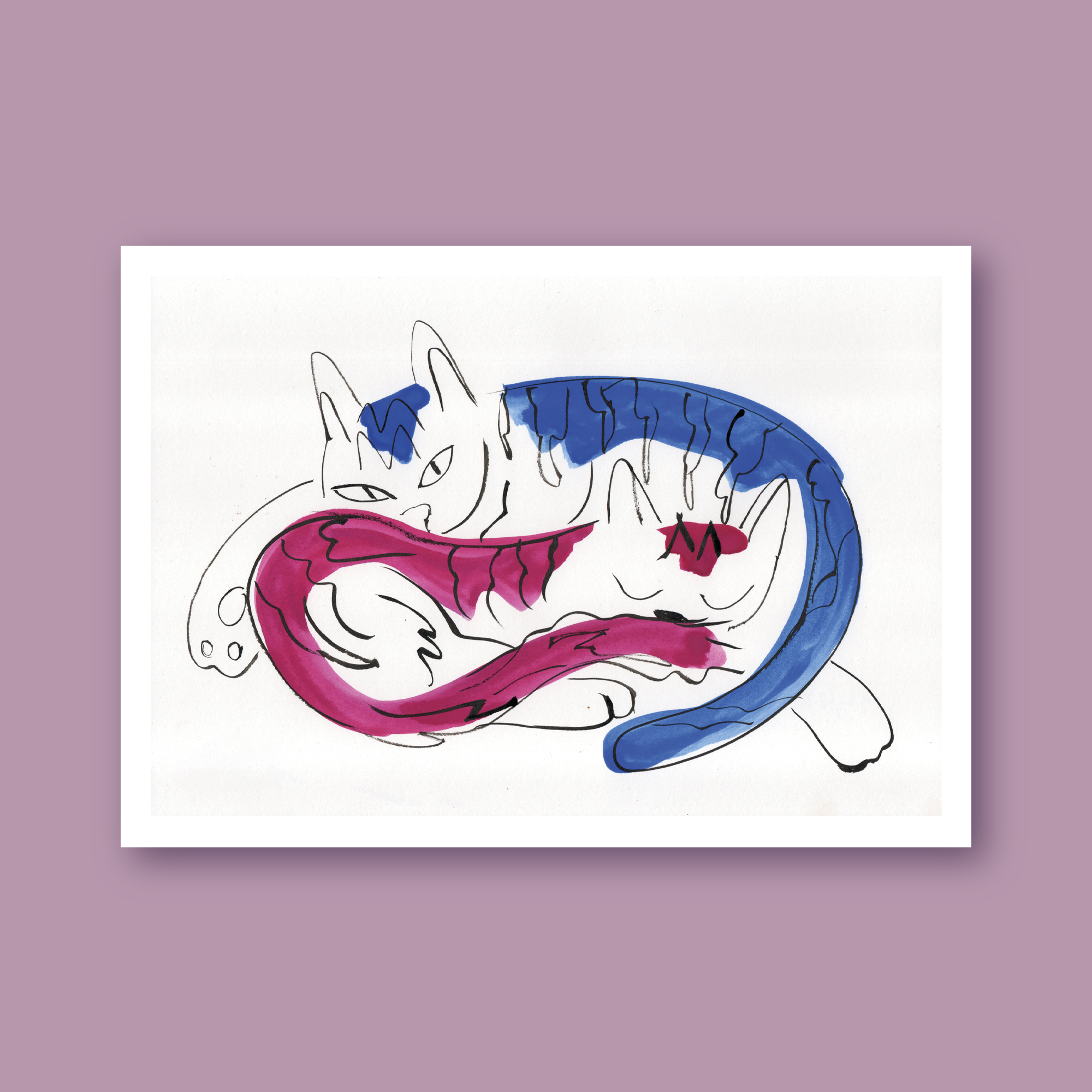 Lámina Gatos durmiendo